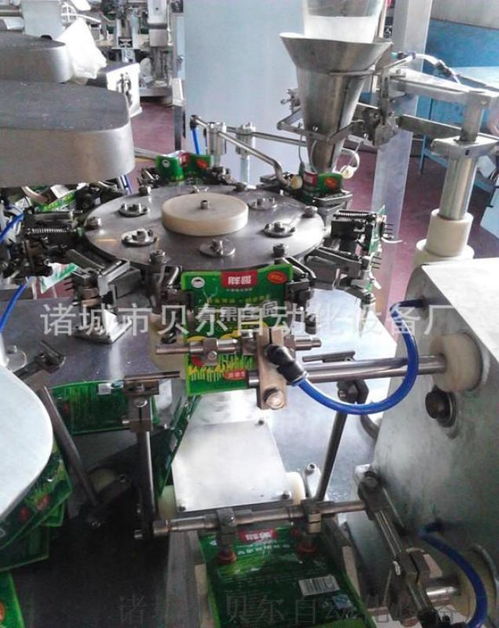 全自動(dòng)豆制品真空包裝機(jī) 諸城市貝爾自動(dòng)化設(shè)備廠的創(chuàng)新之選